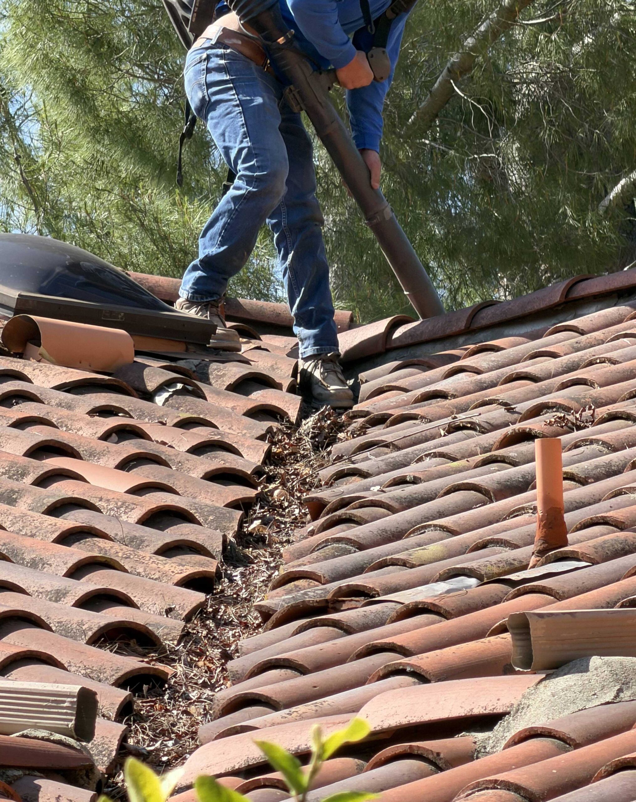 HOA roof debris removal before and after cleaning in 91362 by Pressure Boyz Exterior Solutions